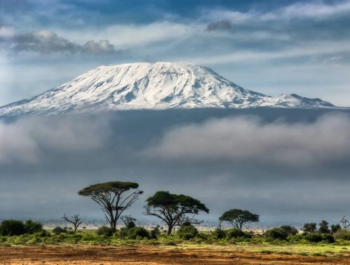 Kilimanjaro